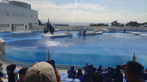 KIMG20251008_113853814