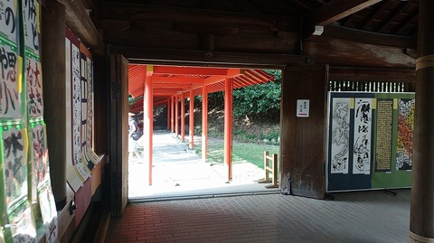 KIMG20260822_075522228