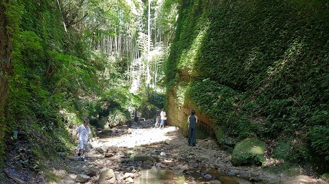 KIMG20260811_135600164
