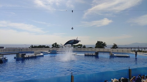 KIMG20251008_114526091