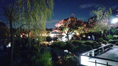 KIMG20251121_175554459