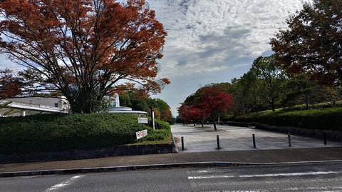 KIMG20251112_111754236