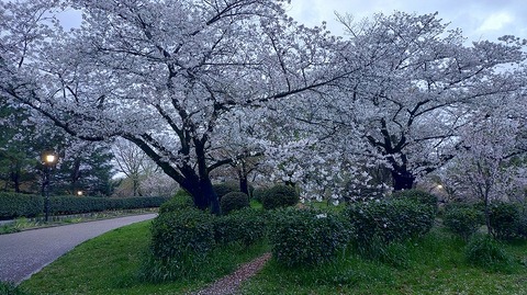 KIMG20260405_054507296