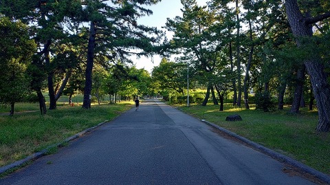 KIMG20260805_062006668