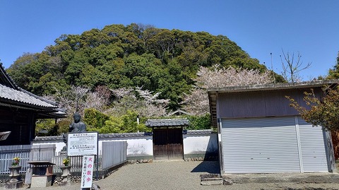 KIMG20260408_104132993