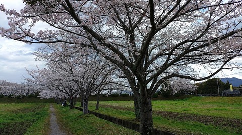 KIMG20260331_103513591