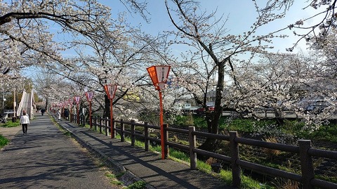 KIMG20260403_082838536