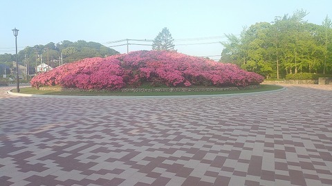 KIMG20260516_060447005