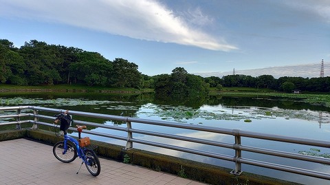 KIMG20260608_062109040