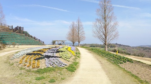 KIMG20260324_115458500