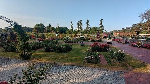 KIMG20260519_061249986