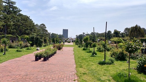 KIMG20260502_105935808
