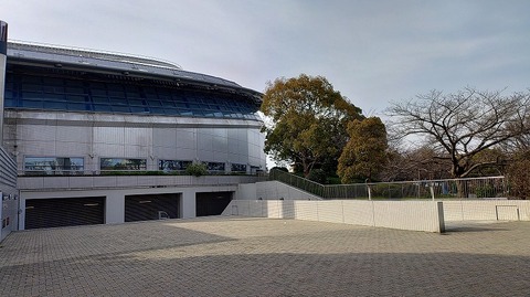 KIMG20260322_080611229