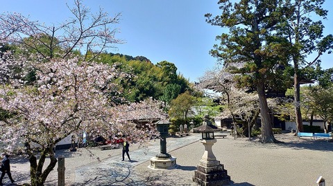 KIMG20260408_104526402