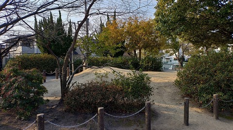 KIMG20260124_084351497