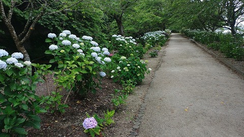 KIMG20260601_145353005