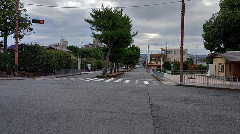 KIMG20250925_074608942