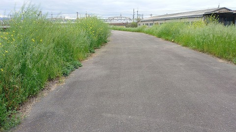 KIMG20260415_075018848