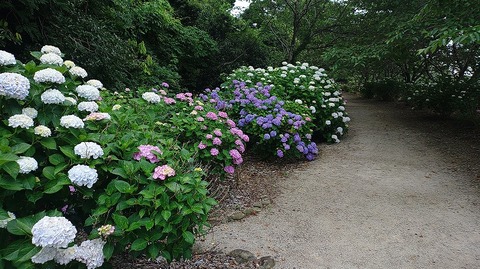 KIMG20260601_145457037