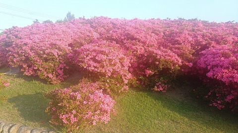 KIMG20260516_060517350