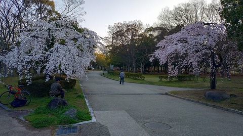 KIMG20260327_061659466