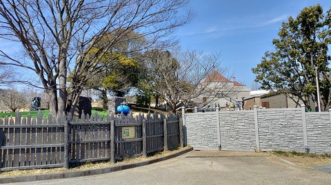 KIMG20260317_115303035