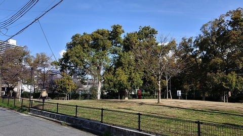 KIMG20260307_090310249