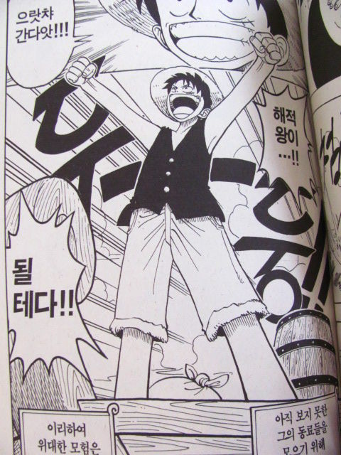 韓国版 One Pieceコミックス 其の参 漫画内の違い 柔術道場 ストライプル早稲田 ヒルマ道場 韓国版 One Pieceコミックス 其の参 漫画内の違い 柔術道場 ストライプル早稲田 ヒルマ道場