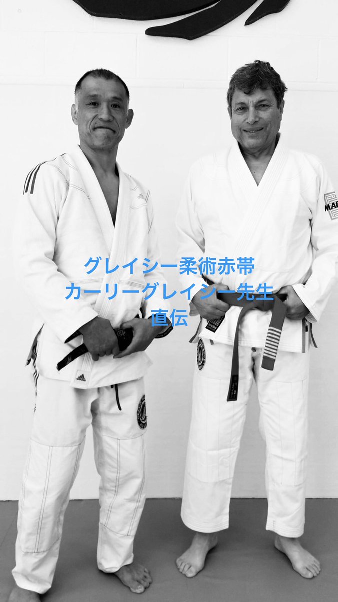 グレイシー柔術ストリートセルフディフェンス２ グレイシー柔術ストリートセルフディフェンス2 （ブラジリアン