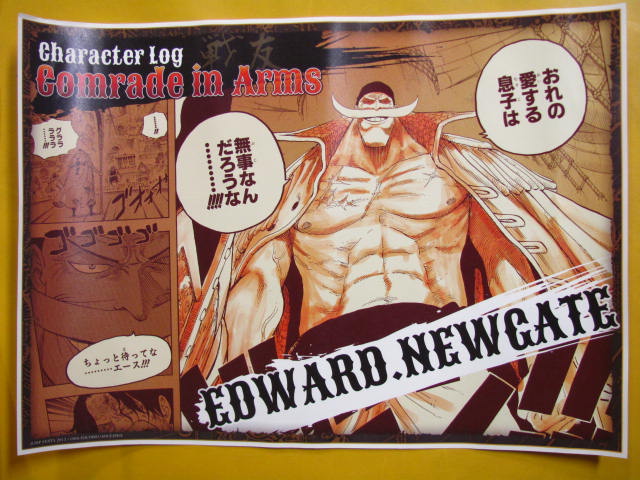 人気のローと世界最強の親父 白ひげ One Piece ポスター 柔術道場 ストライプル早稲田 ヒルマ道場