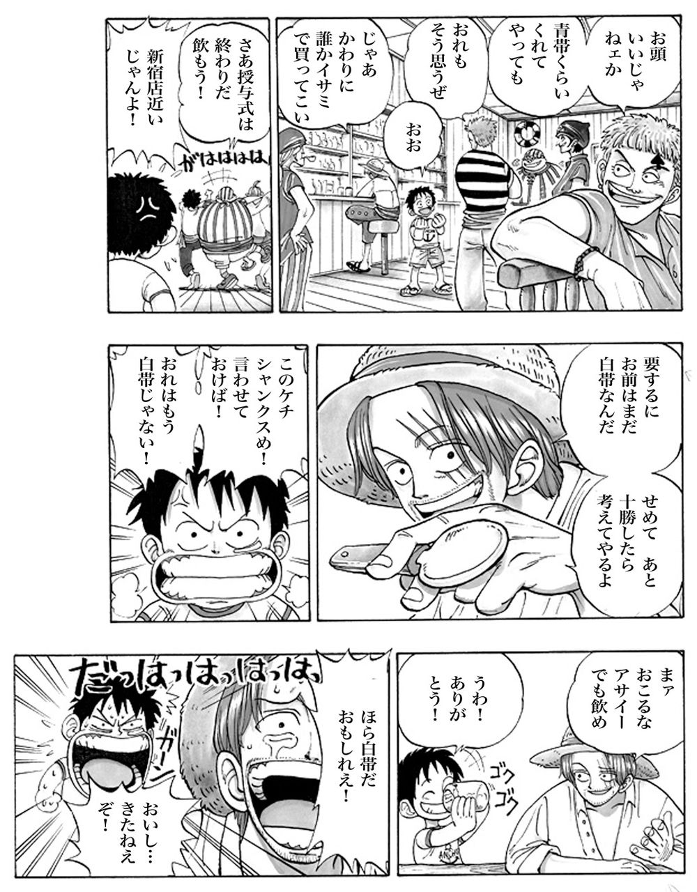 ルフィ 青帯に 柔術道場 ストライプル早稲田 ヒルマ道場