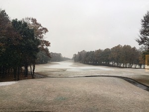 IMG_8902
