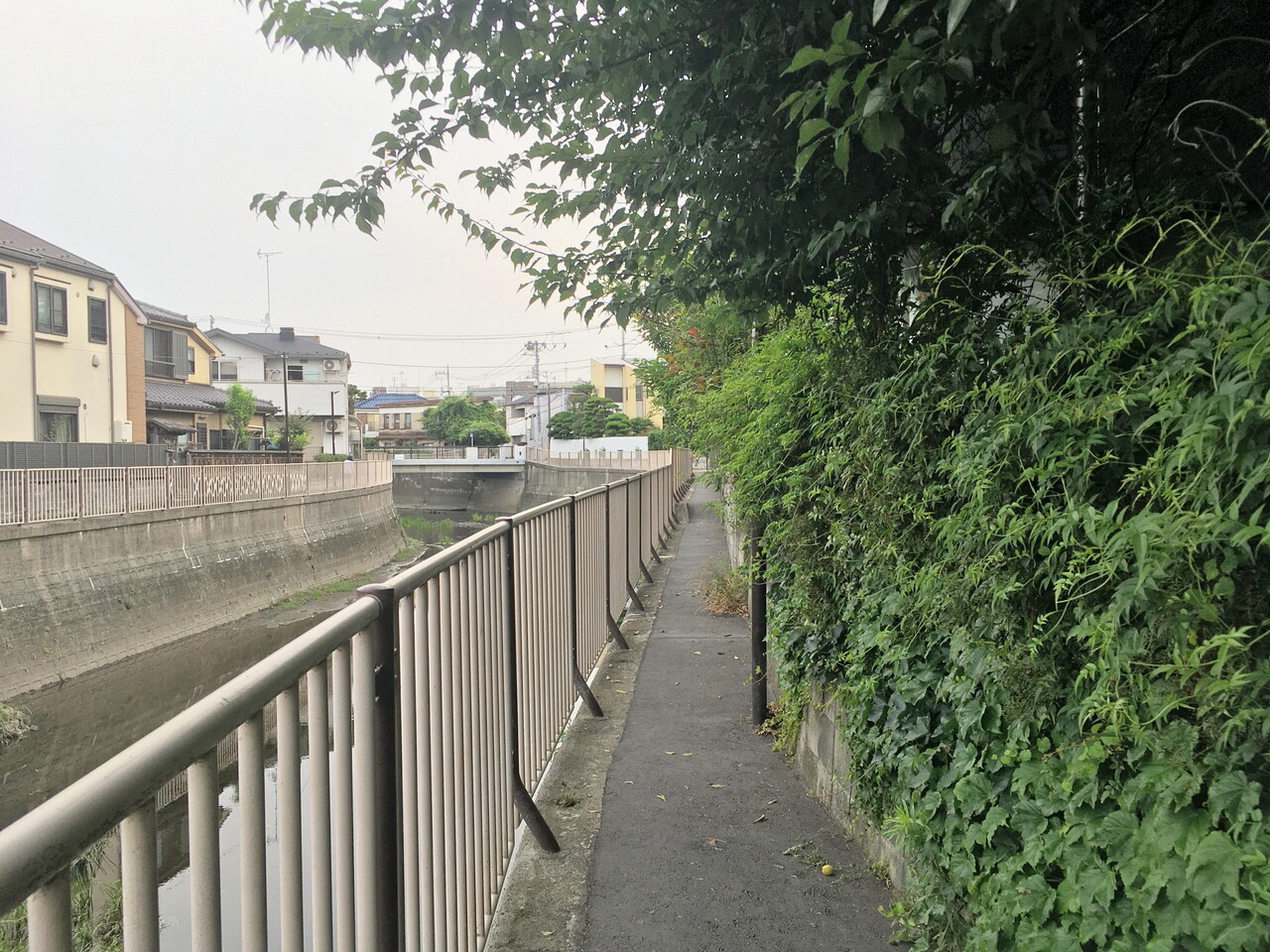 神田川支流 善福寺川 路上日記 Season Iv 神田川支流 善福寺川 路上日記 Season Iv