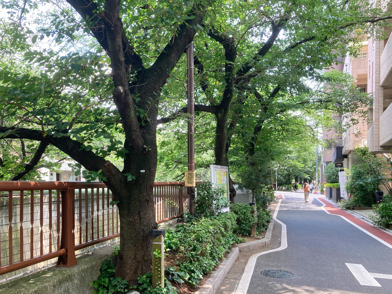 日々能天気 路上日記 Season Iv 日々能天気 路上日記 Season Iv