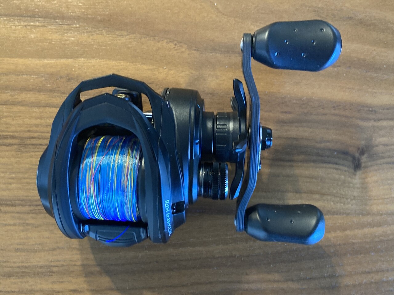 🎣 本気でベイトリールを使う : 釣魚日記 - 晴釣雨読