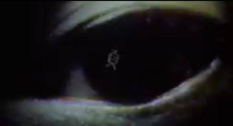 Screenshot_2019-07-26-15-48-00-1