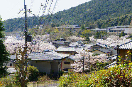 Dsc00941