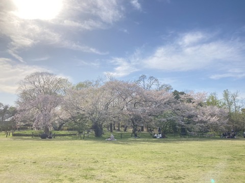 S__26034203_0