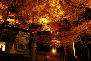 Dsc02957 Dsc02957