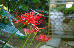 Dsc02886 Dsc02886