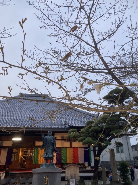 S__25894943_0