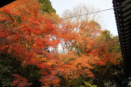 Dsc05155