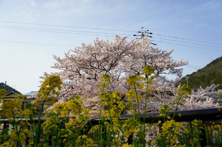 Dsc00920