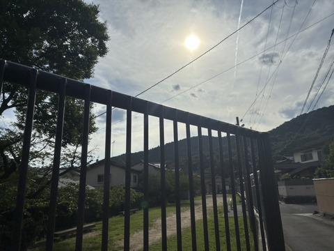 S__53321737