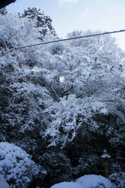 Dsc04301_3