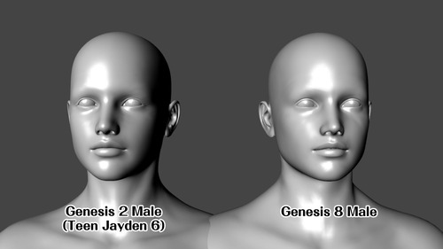 Jayden 6 Genesis 8 Head