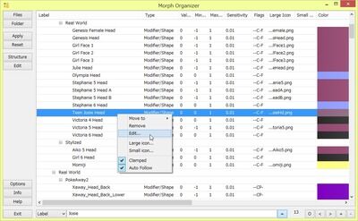 Morph Organizer