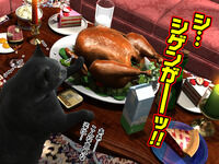 Yokoshima_12-1