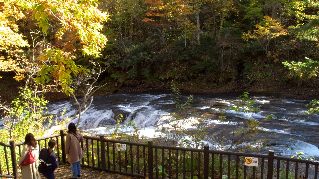 ちょこっとドライブ 支笏湖 白扇の滝 風に吹かれて