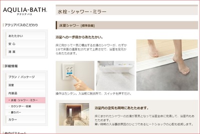 tokonatuキャプチャ